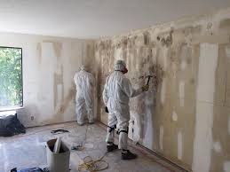 Best Attic Mold Removal  in Loris, SC